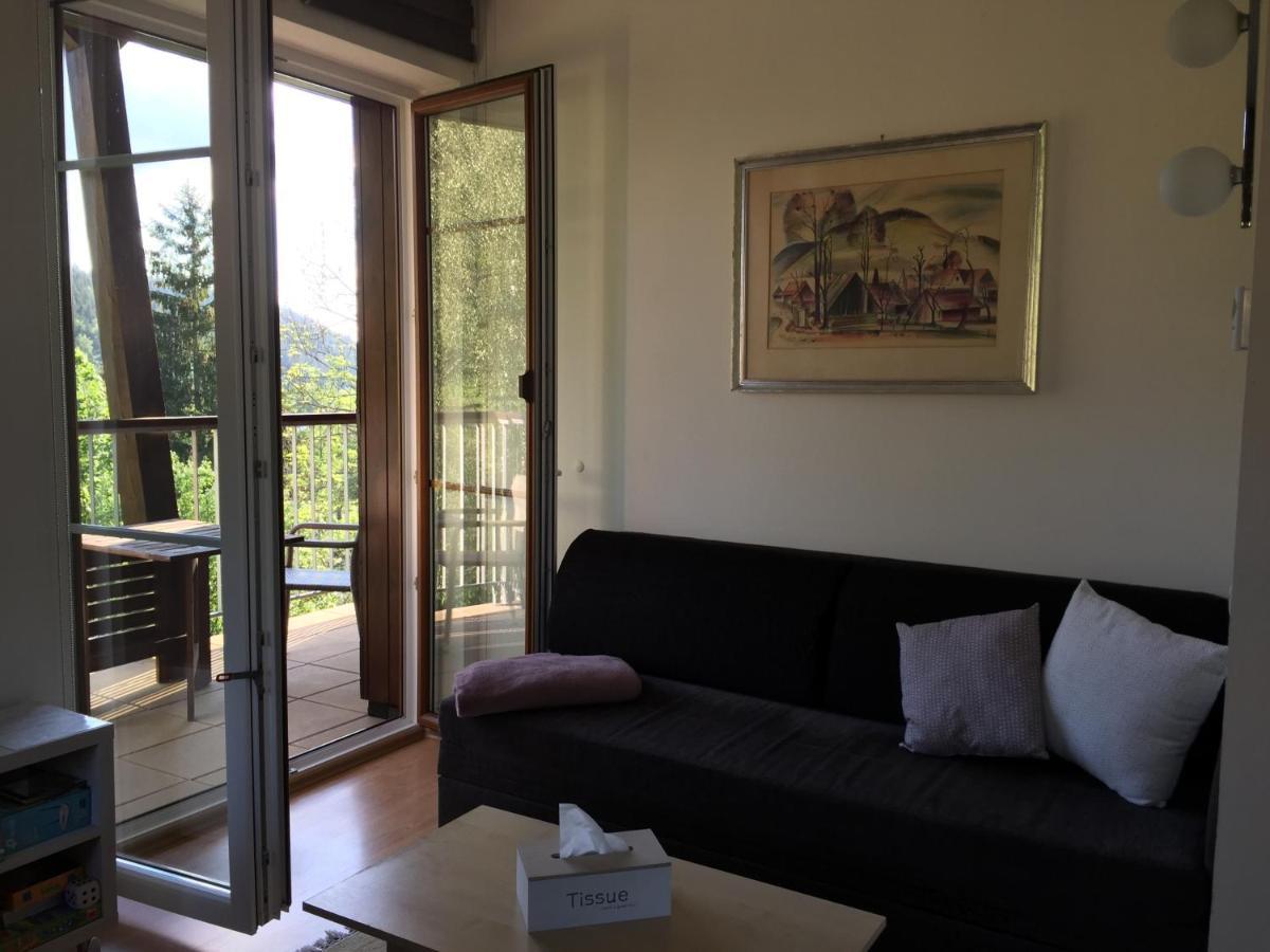 Apartman U sjezdovky Velké Karlovice Exteriér fotografie