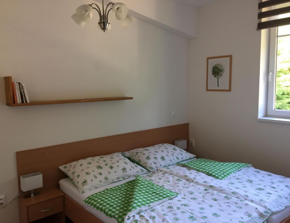 Apartman U sjezdovky Velké Karlovice Exteriér fotografie